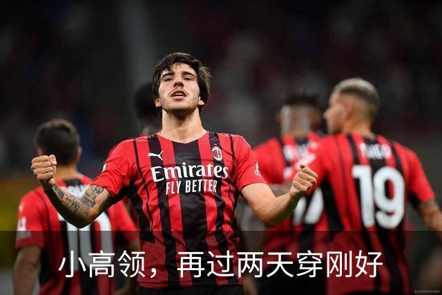 小高领,再过两天穿刚好